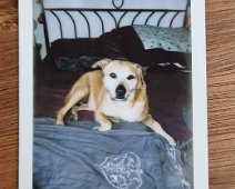 instax-Cora-2023-03-18 Cora